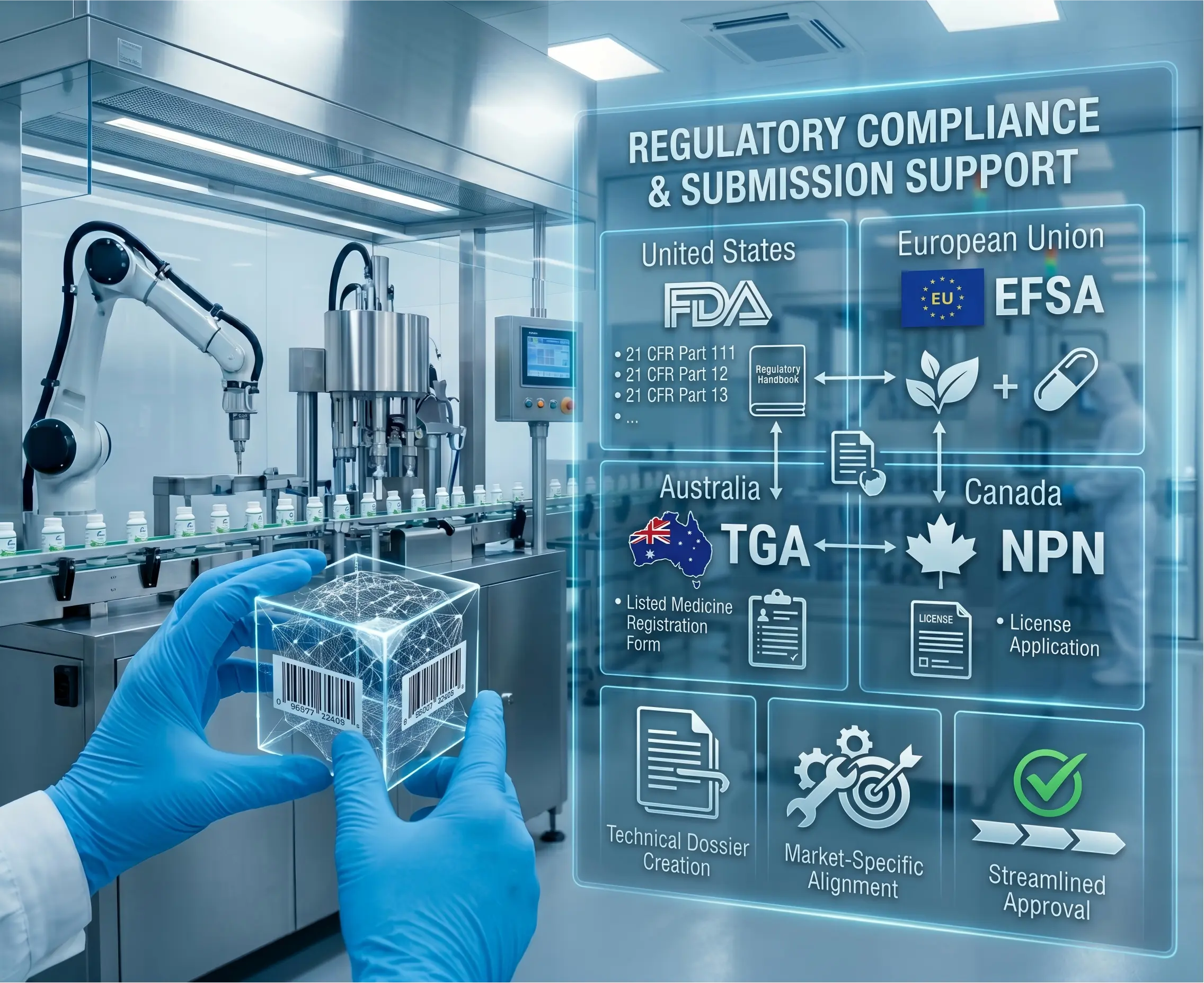 Regulatory Compliance & Submission Support