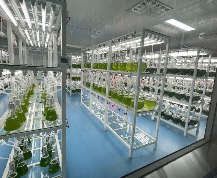 Haematococcus Pluvialis Cultivation Base from KS NUTRIPHARMA