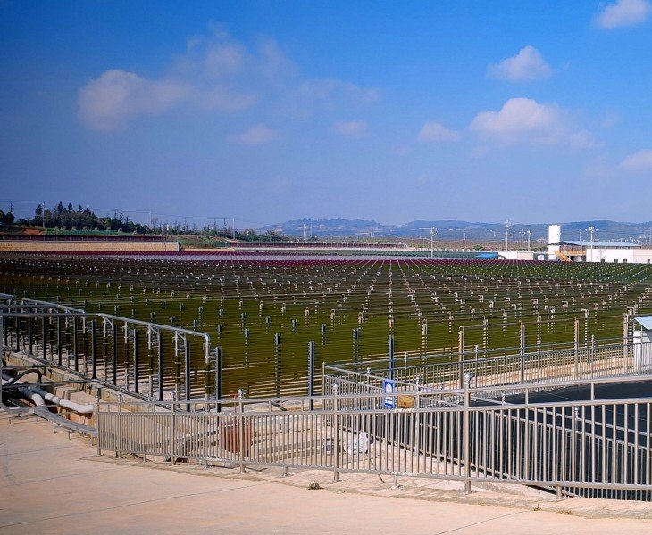 Haematococcus Pluvialis Cultivation Base from KS NUTRIPHARMA