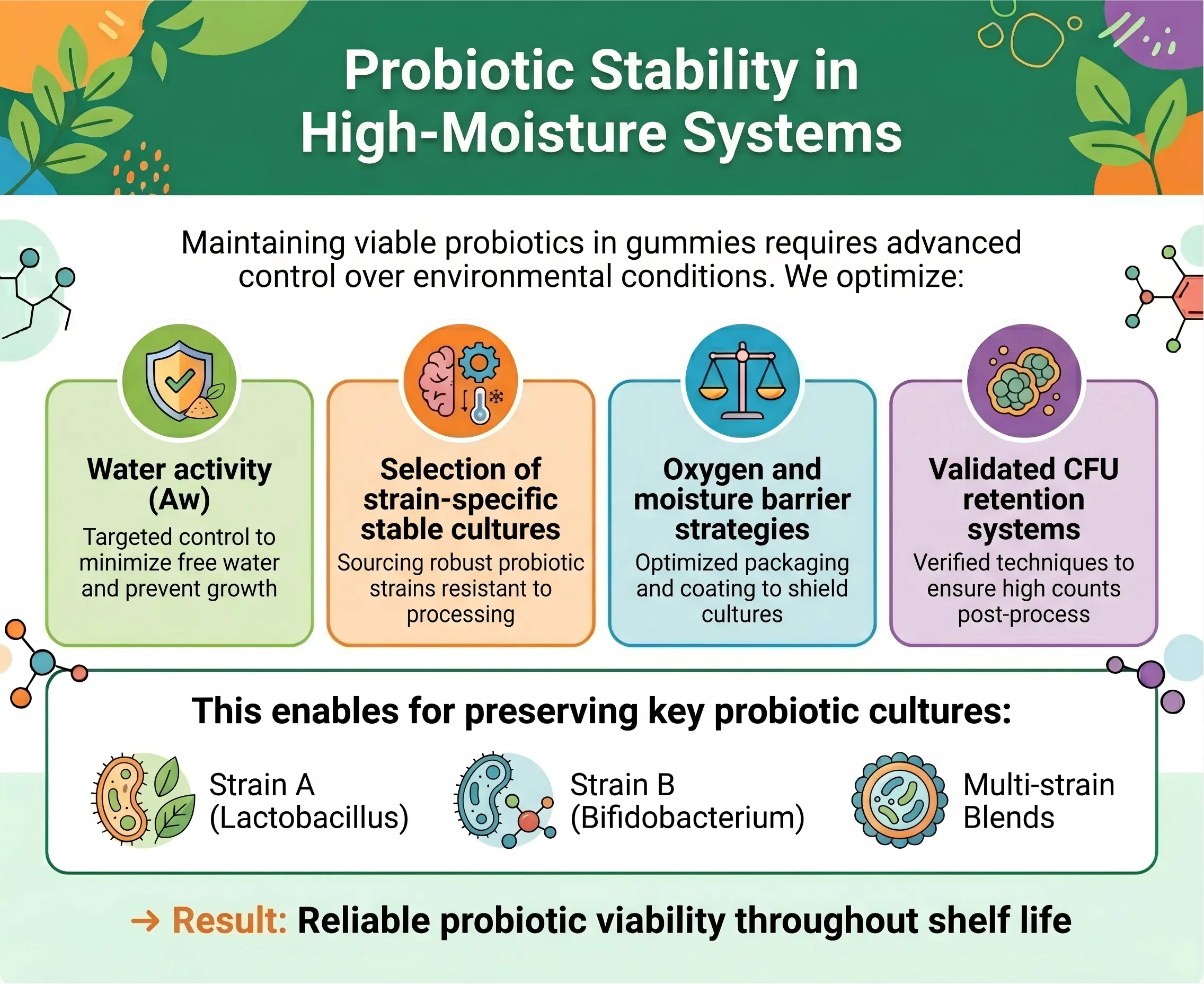 Probiotic Stability in High-Moisture Systems
