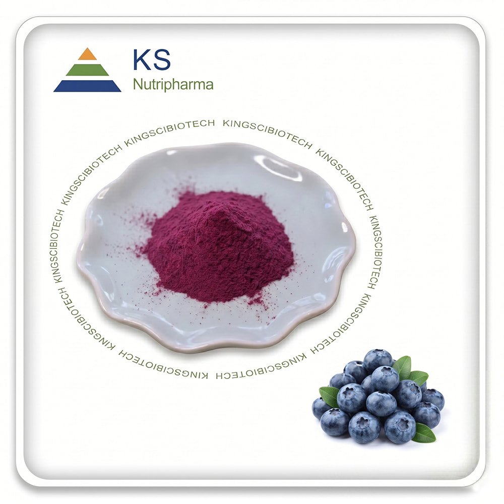 Blueberry Extract Powder