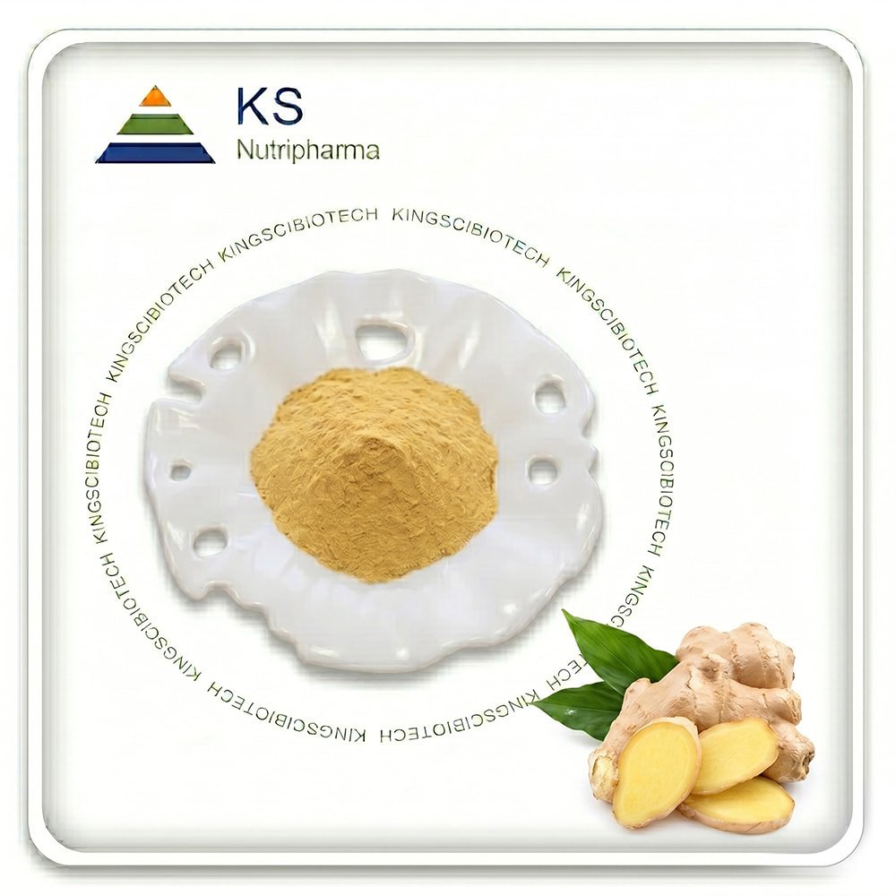 Ginger Extract Powder