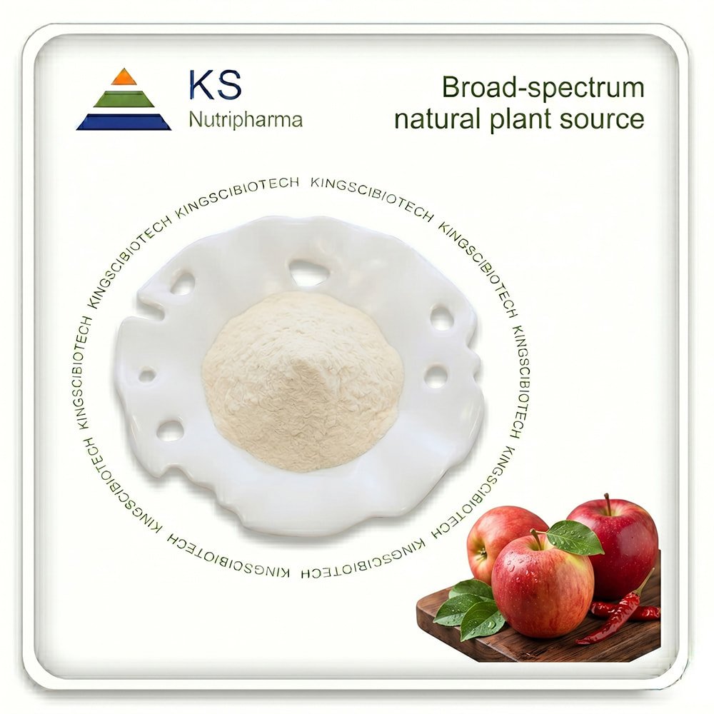 Vinegar Powder (Apple Cider)