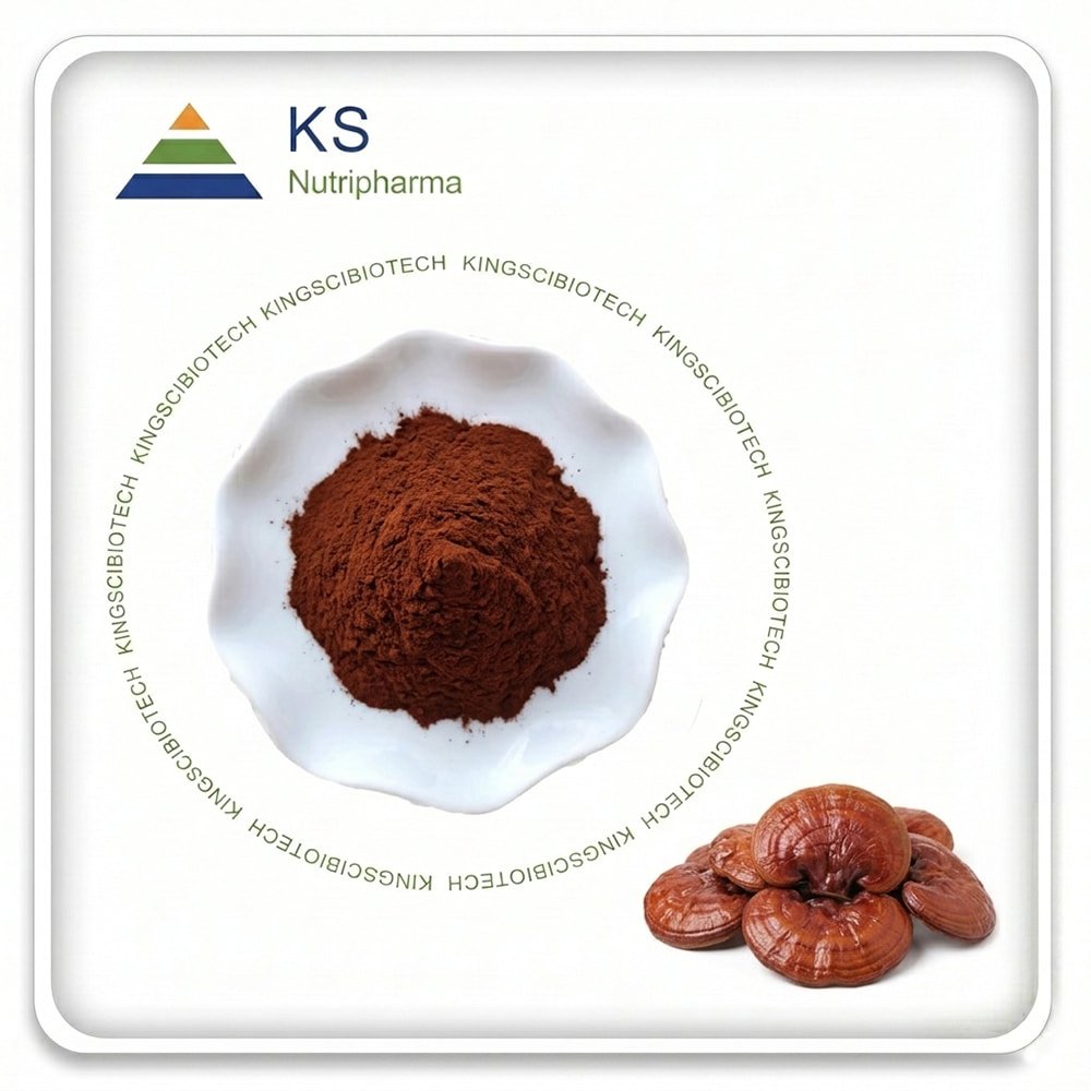 Reishi Mushroom Extract