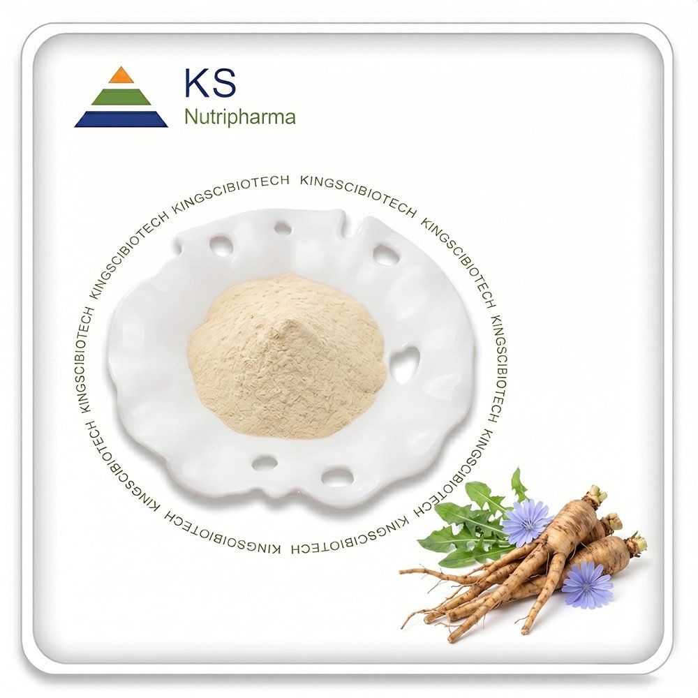 Chicory Extract
