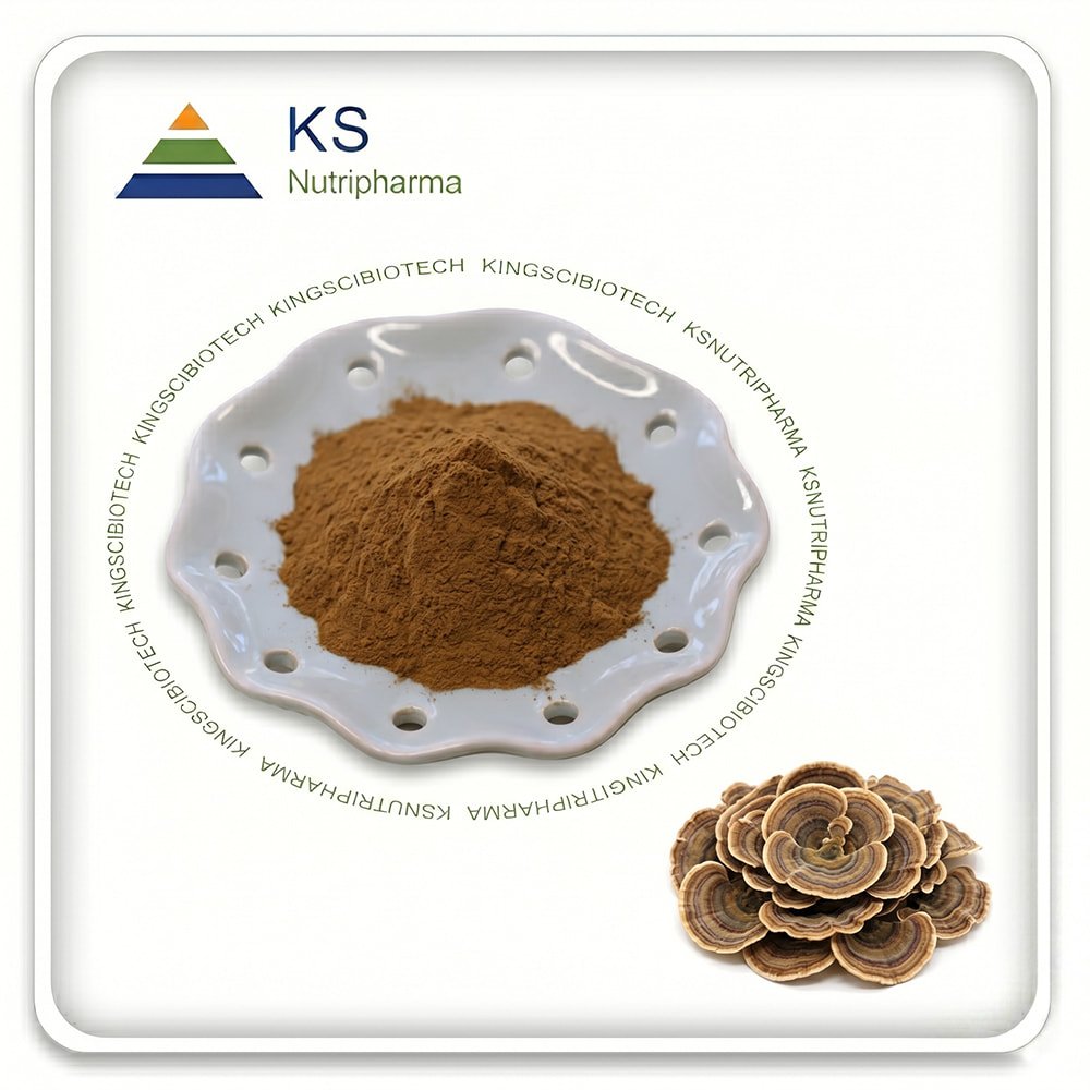 Turkey Tail Mushroom Extract