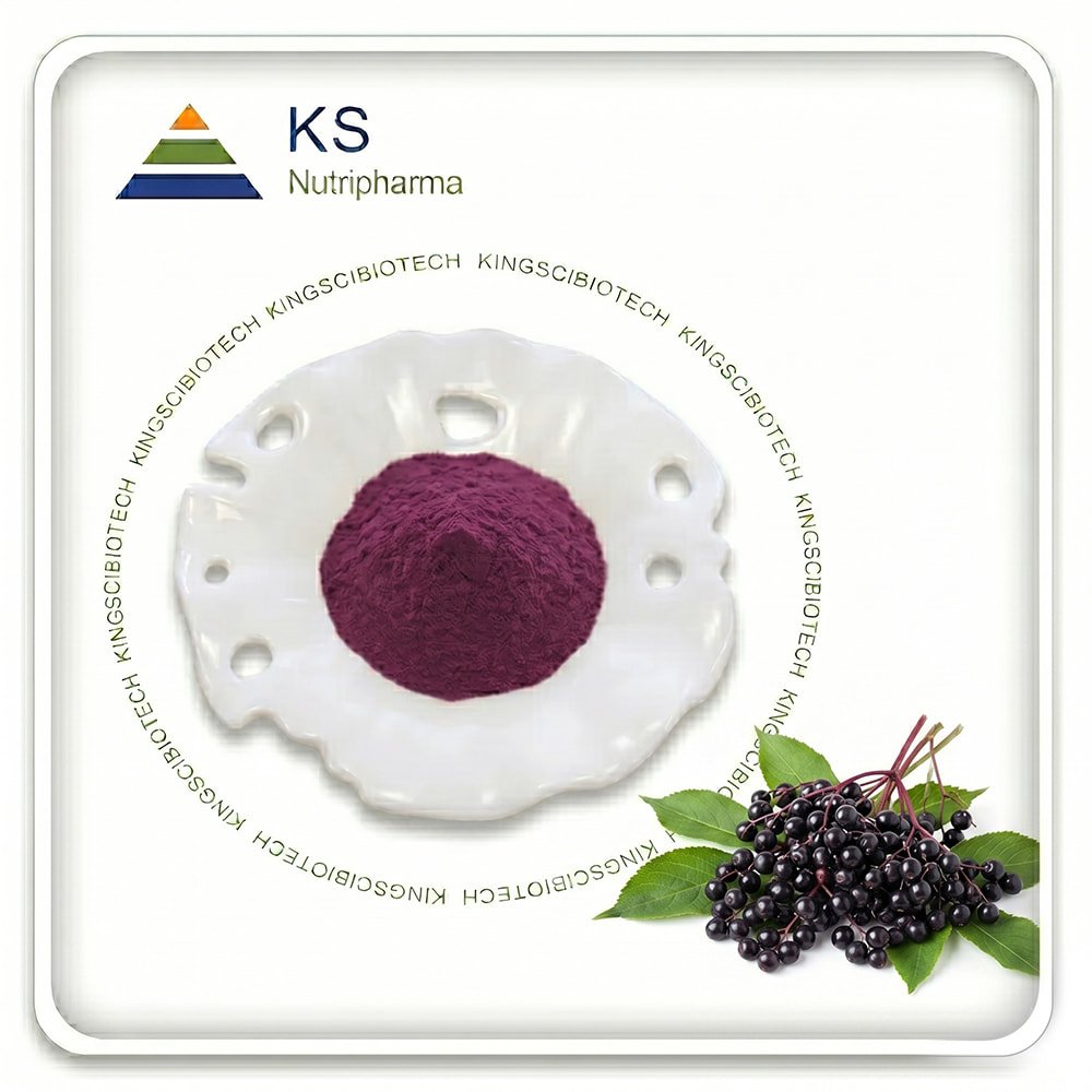 Elderberry Extract Powder