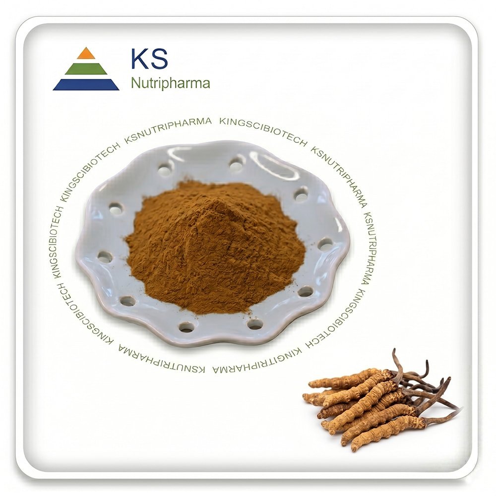 Cordyceps Sinensis Extract