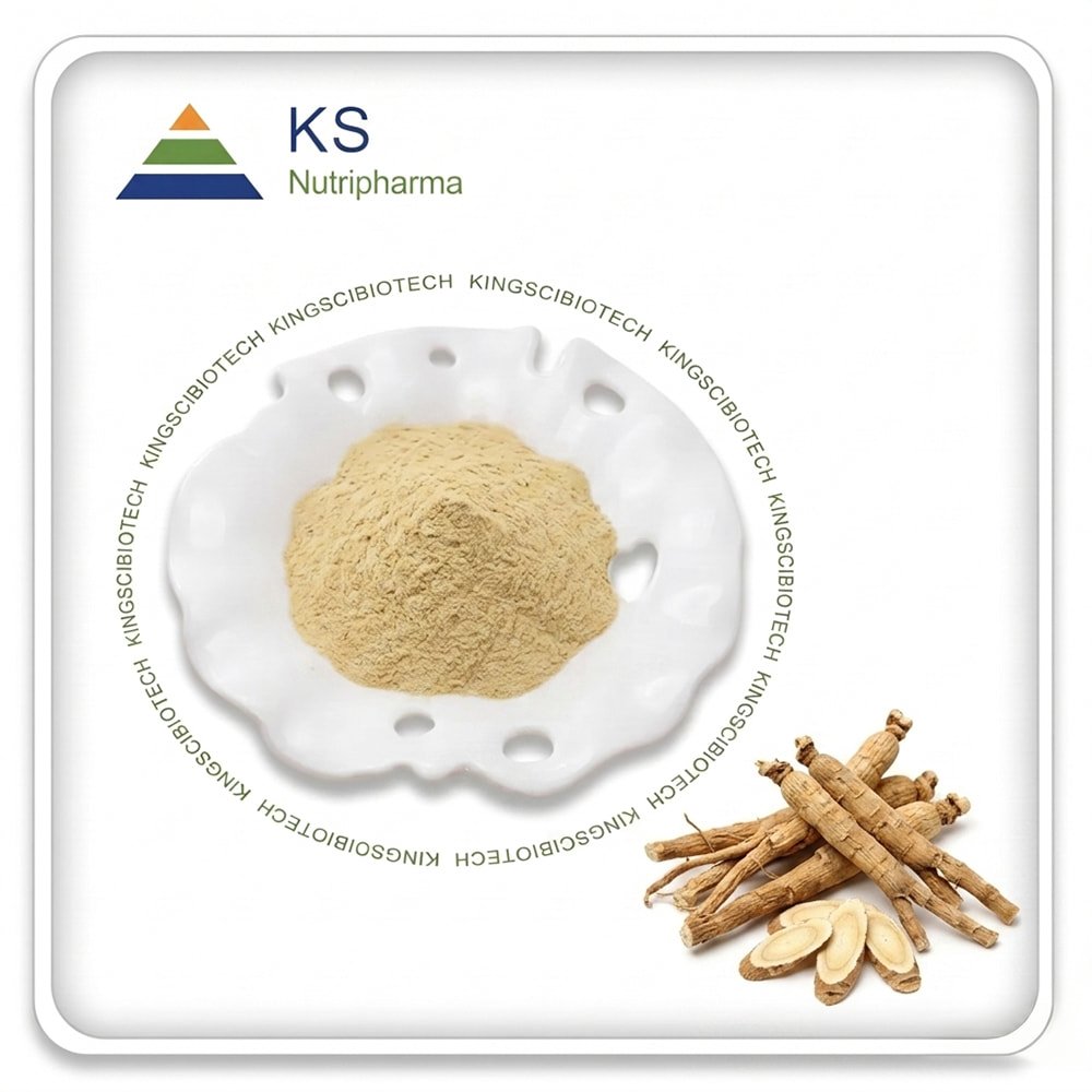 Astragalus Root Powder