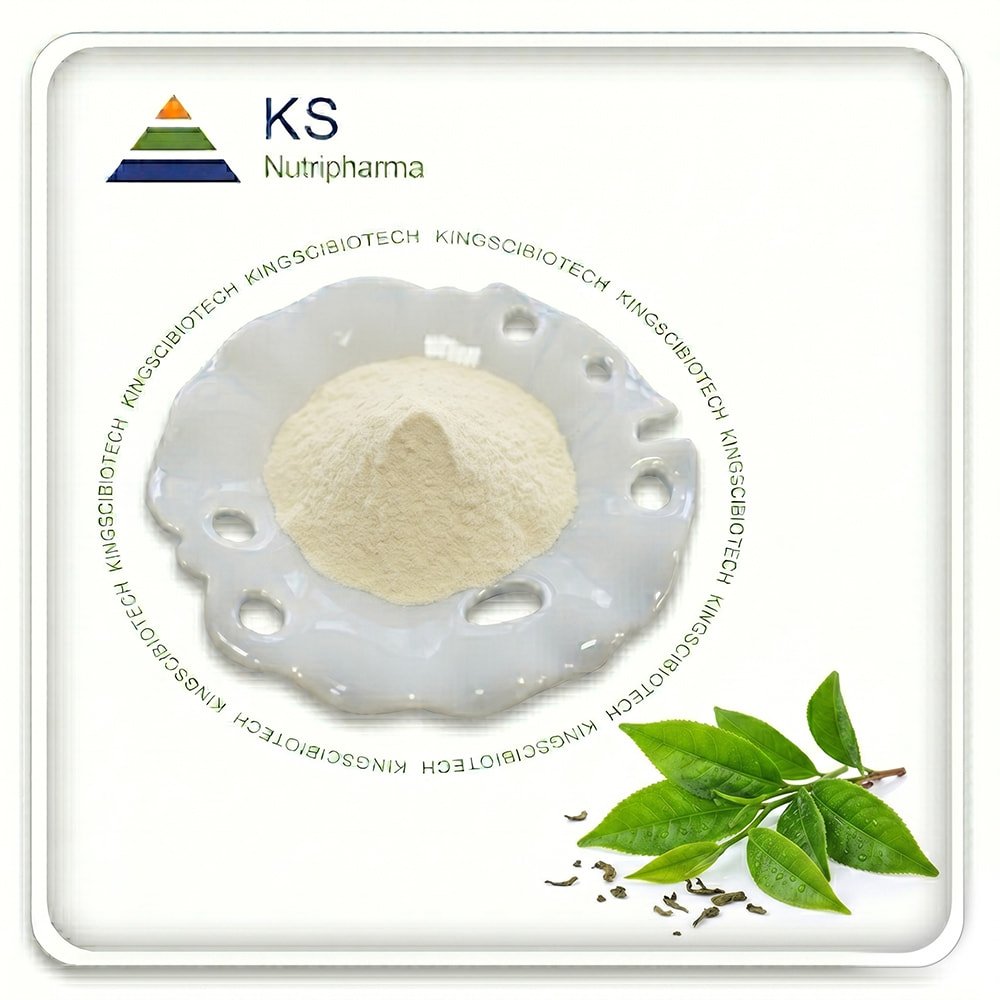 Green Tea Extract Powder