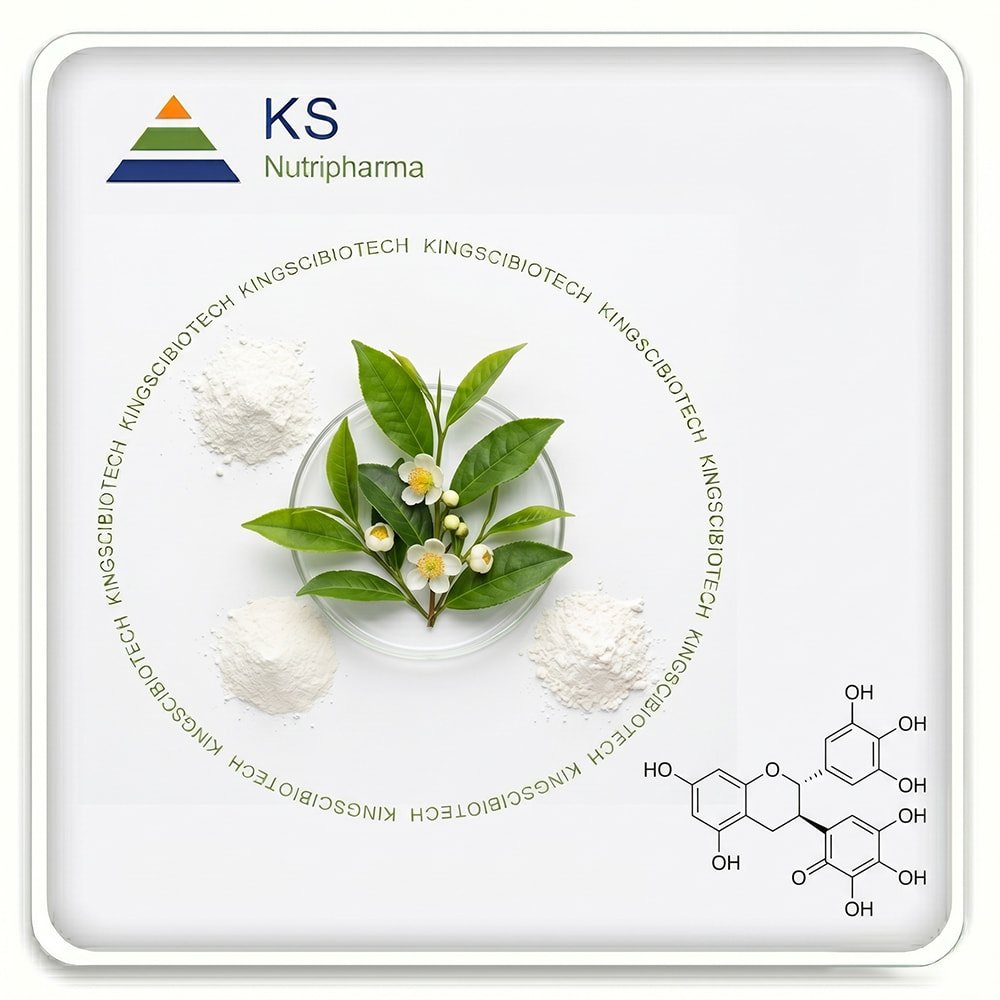 EGCG Powder
