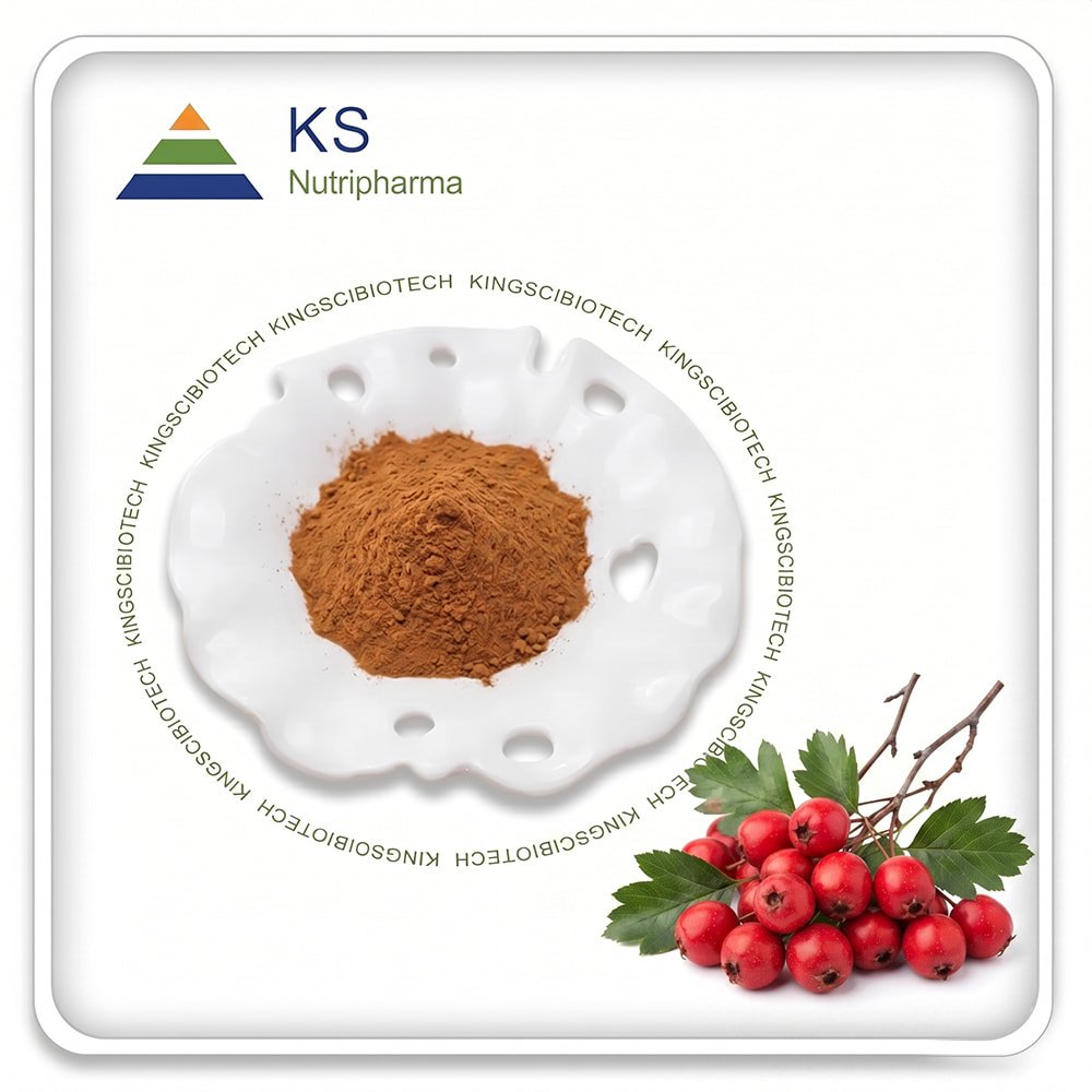 Hawthorn Extract Powder