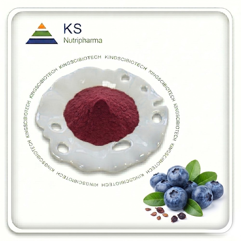 Blueberry Extract Powder