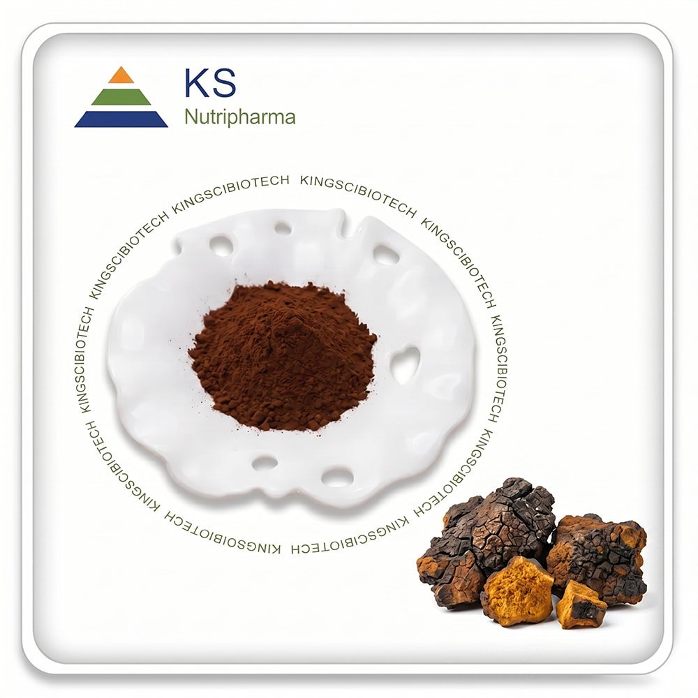 Chaga Mushroom Powder