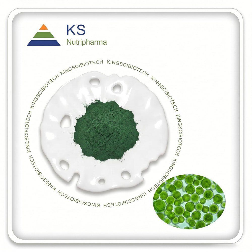 Chlorella Powder