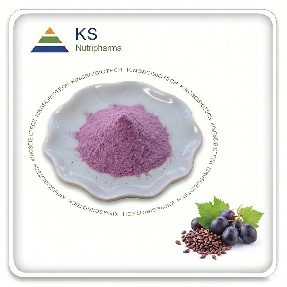 Blueberry Extract Powder