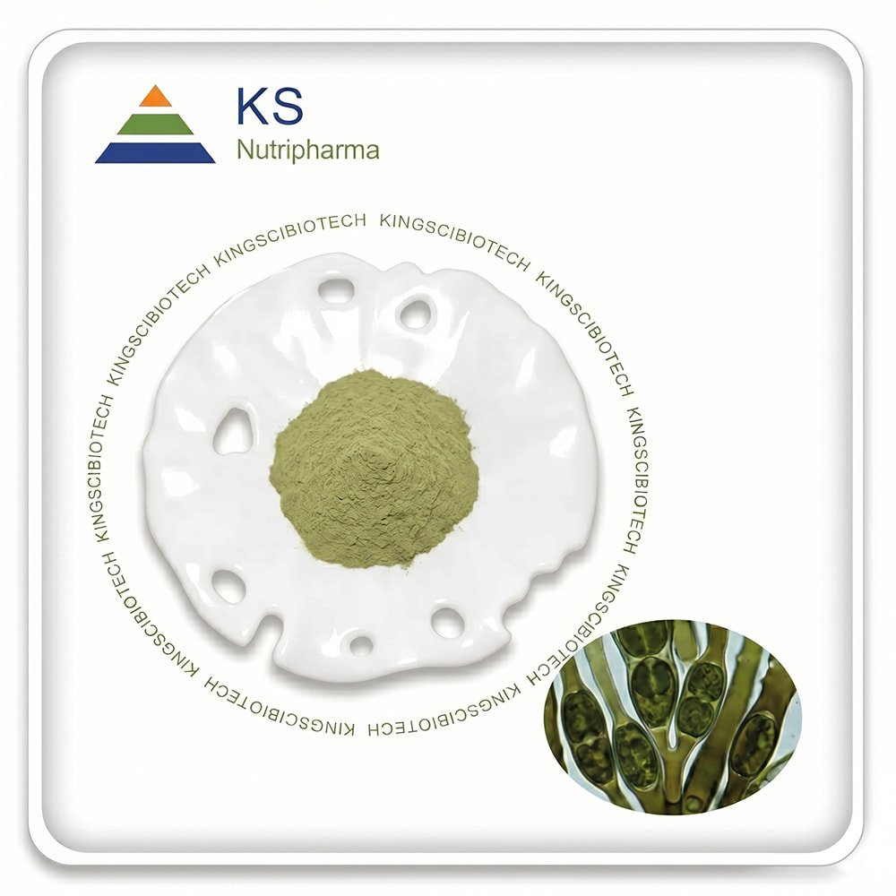 Kelp Powder