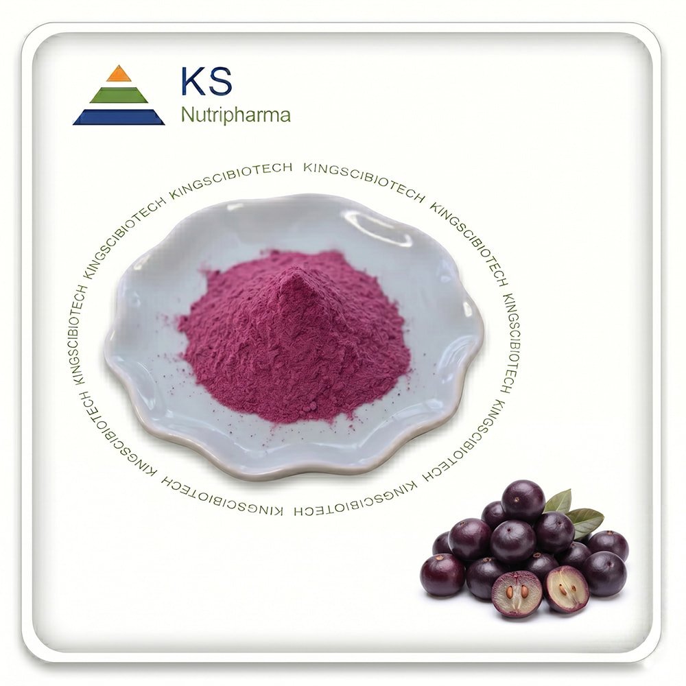 Acai Berry Extract Powder