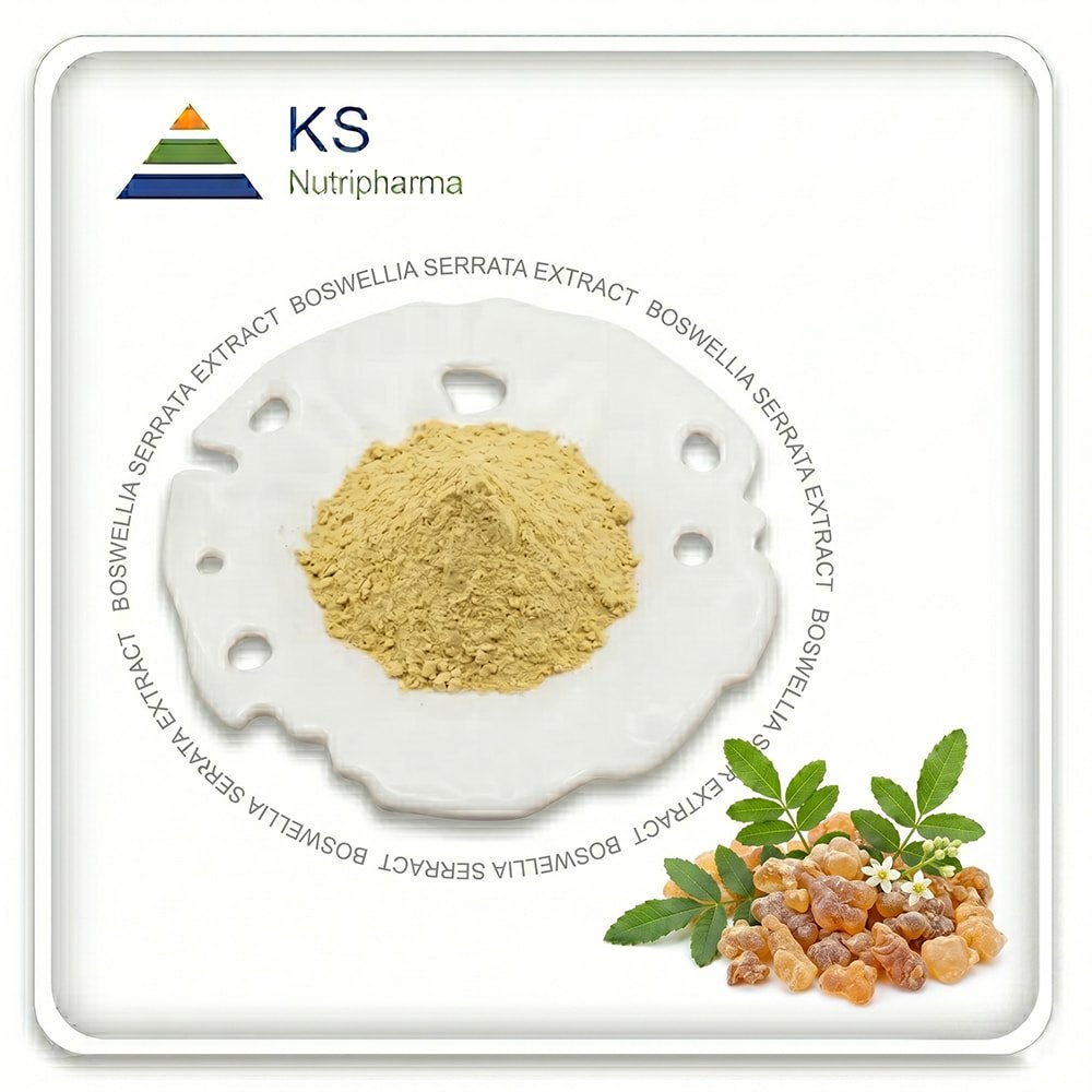 Boswellia Serrata Extract