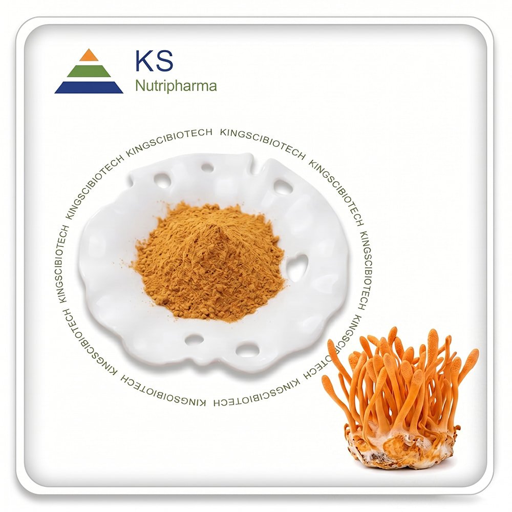 Cordyceps Mushroom Powder