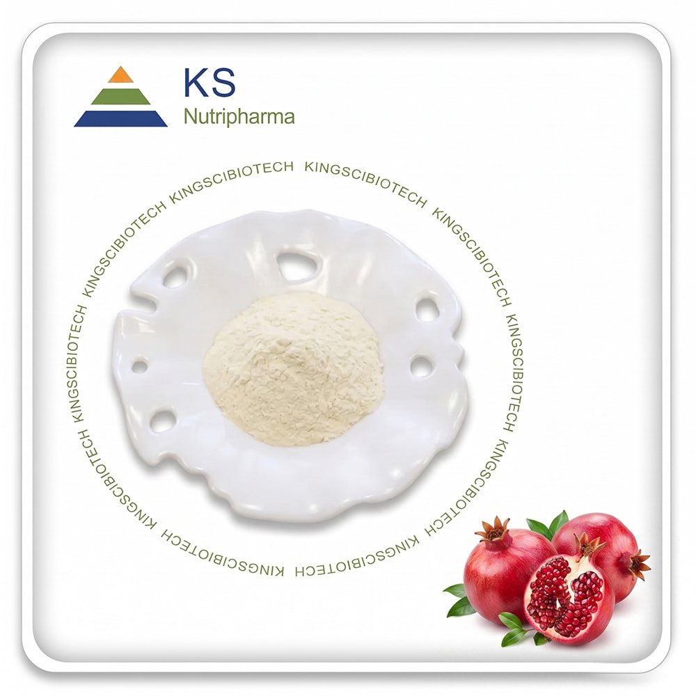 Pomegranate Extract Powder