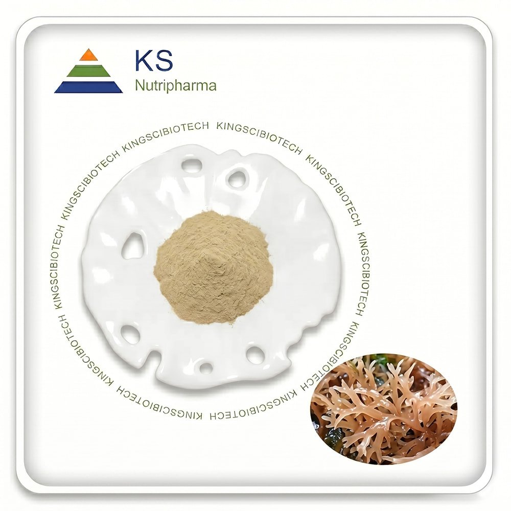 Sea Moss Powder (Irish Moss)