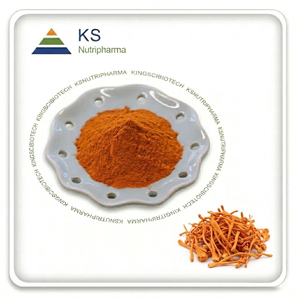 Cordceps Militaris Extract Powder
