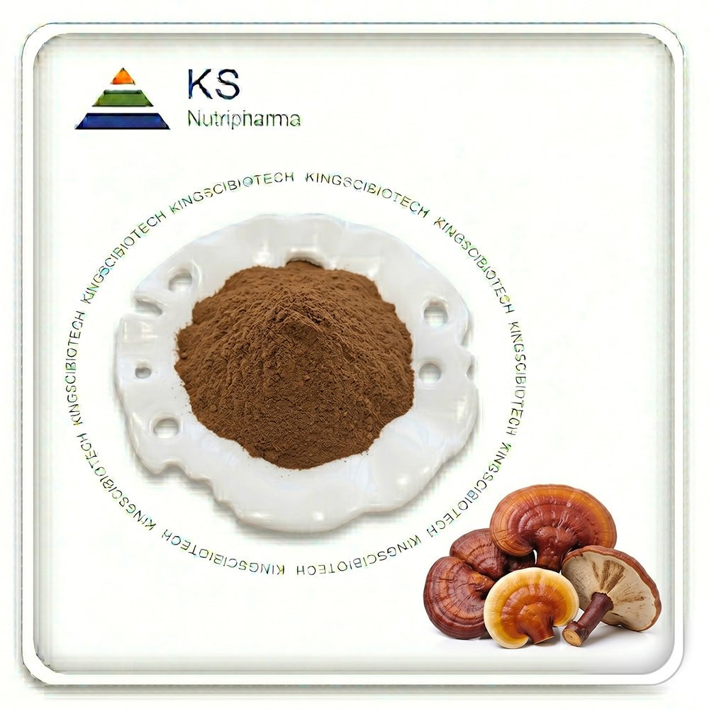 Reishi Mushroom Powder