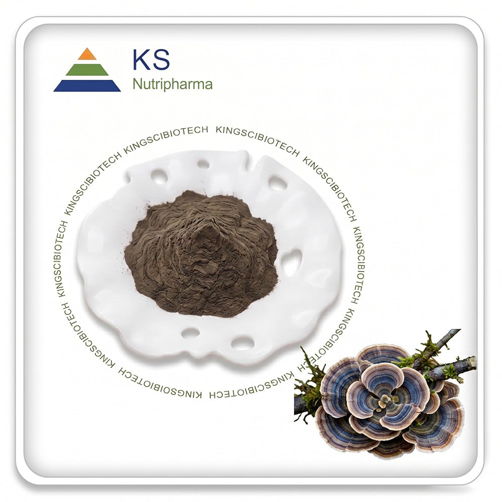 Turkey Tail Mushroom Powder