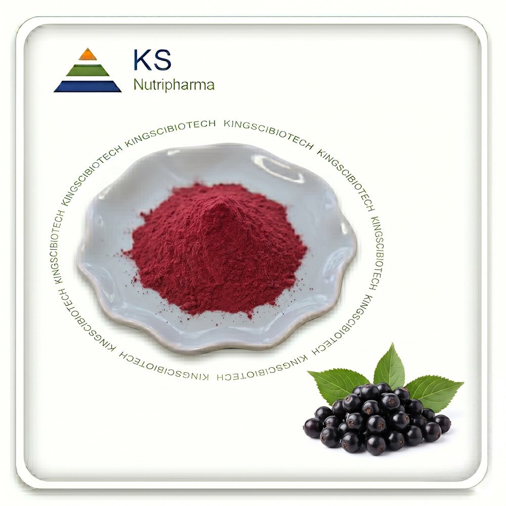 Elderberry Extract Powder