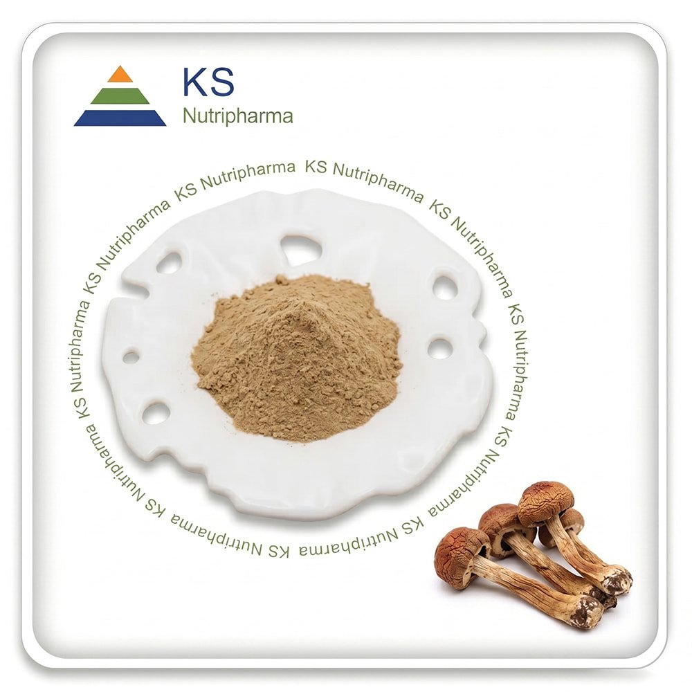 Agaricus Blazei Mushroom Powder