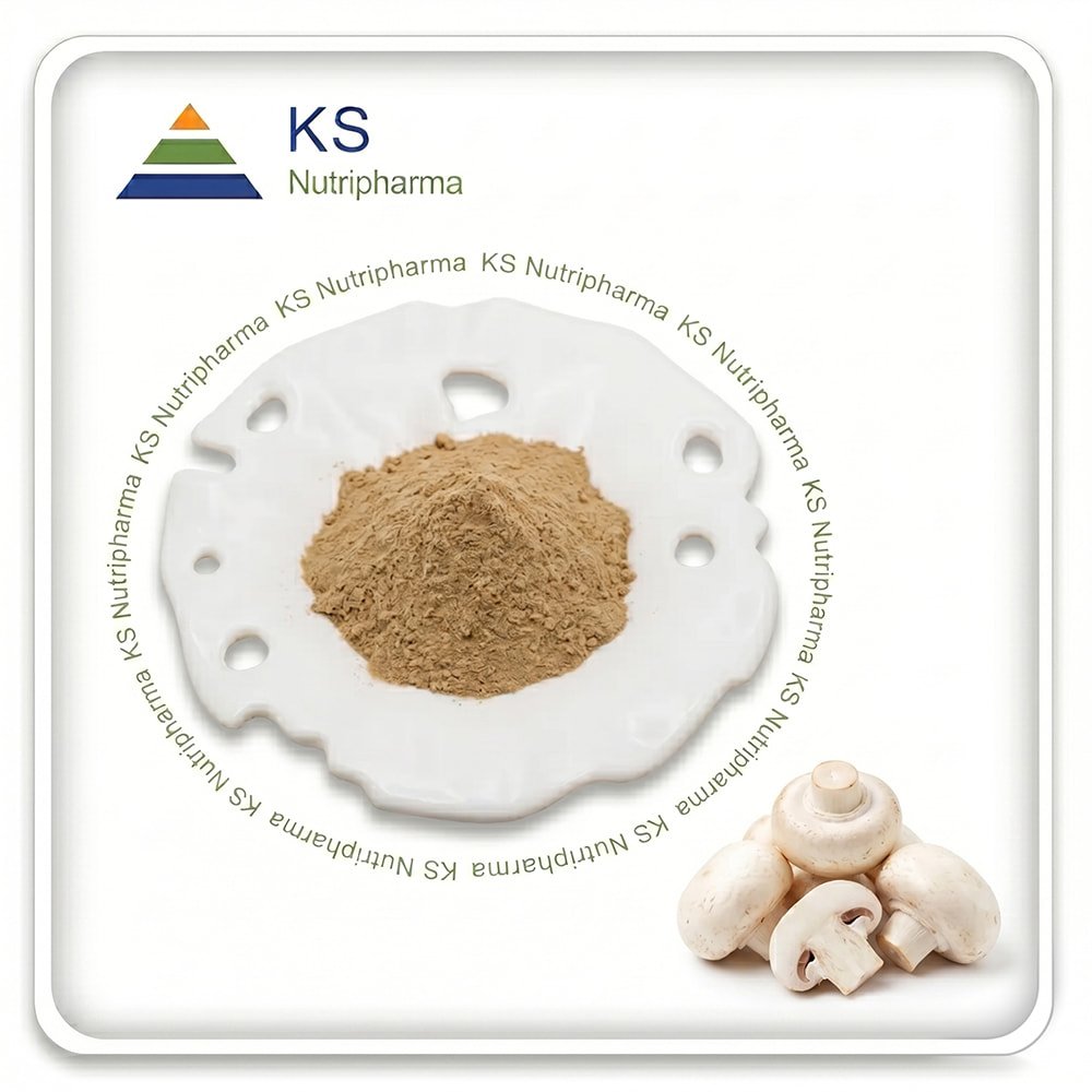 Button Mushroom Powder