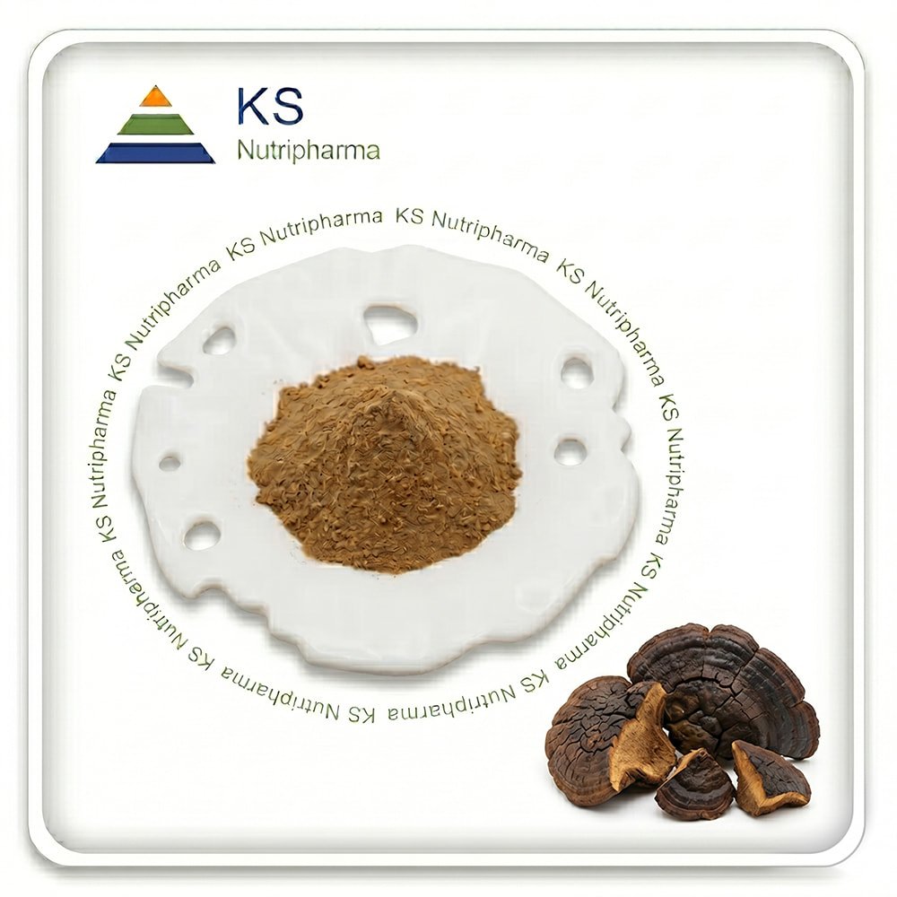 Meshima Mushroom Powder