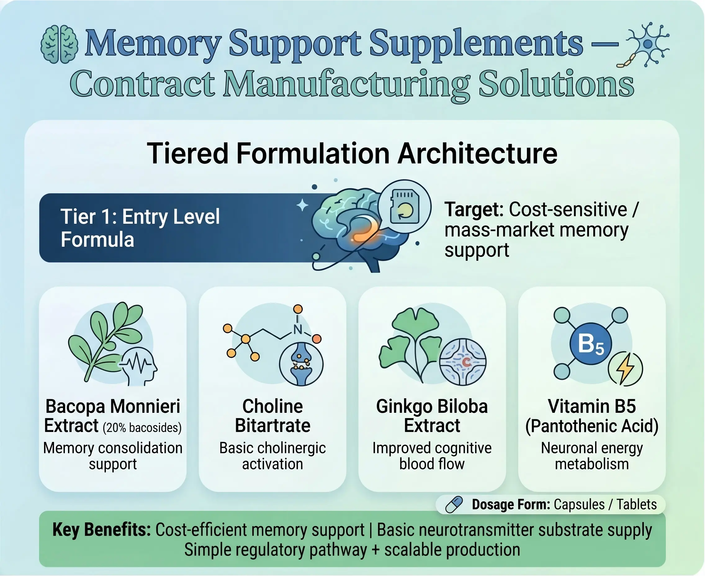 Memory Support Supplements Entry Level Formula