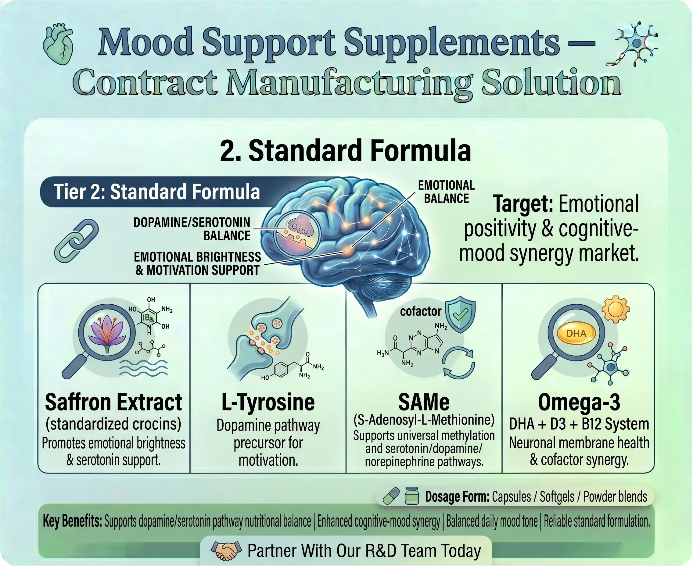 Mood Support Supplements Standard Formula