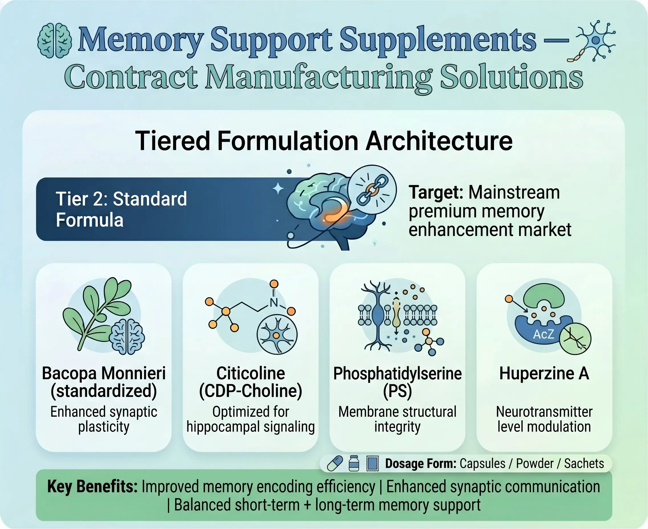 Memory Support Supplements Standard Formula