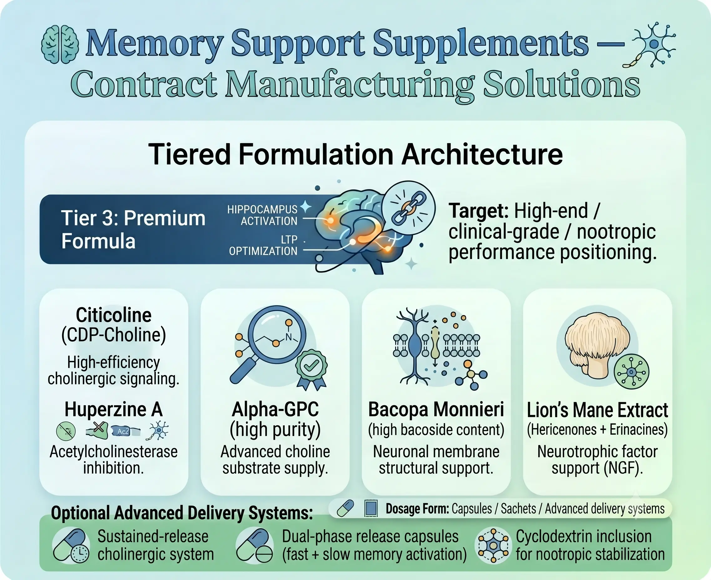 Memory Support Supplements Premium Formula