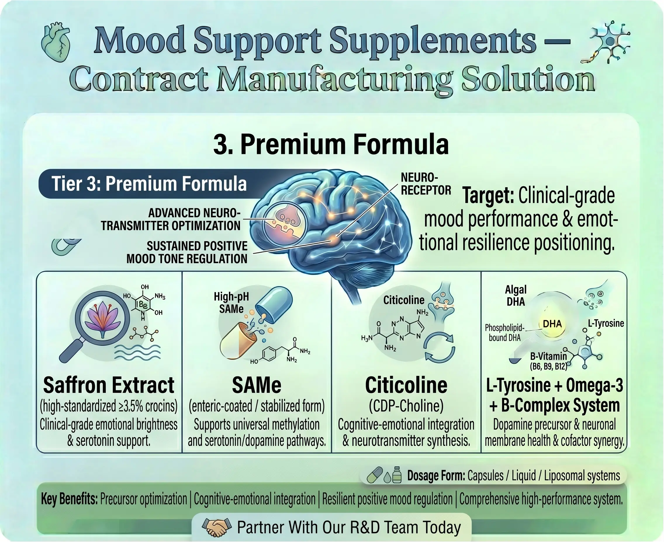 Mood Support Supplements Premium Formula