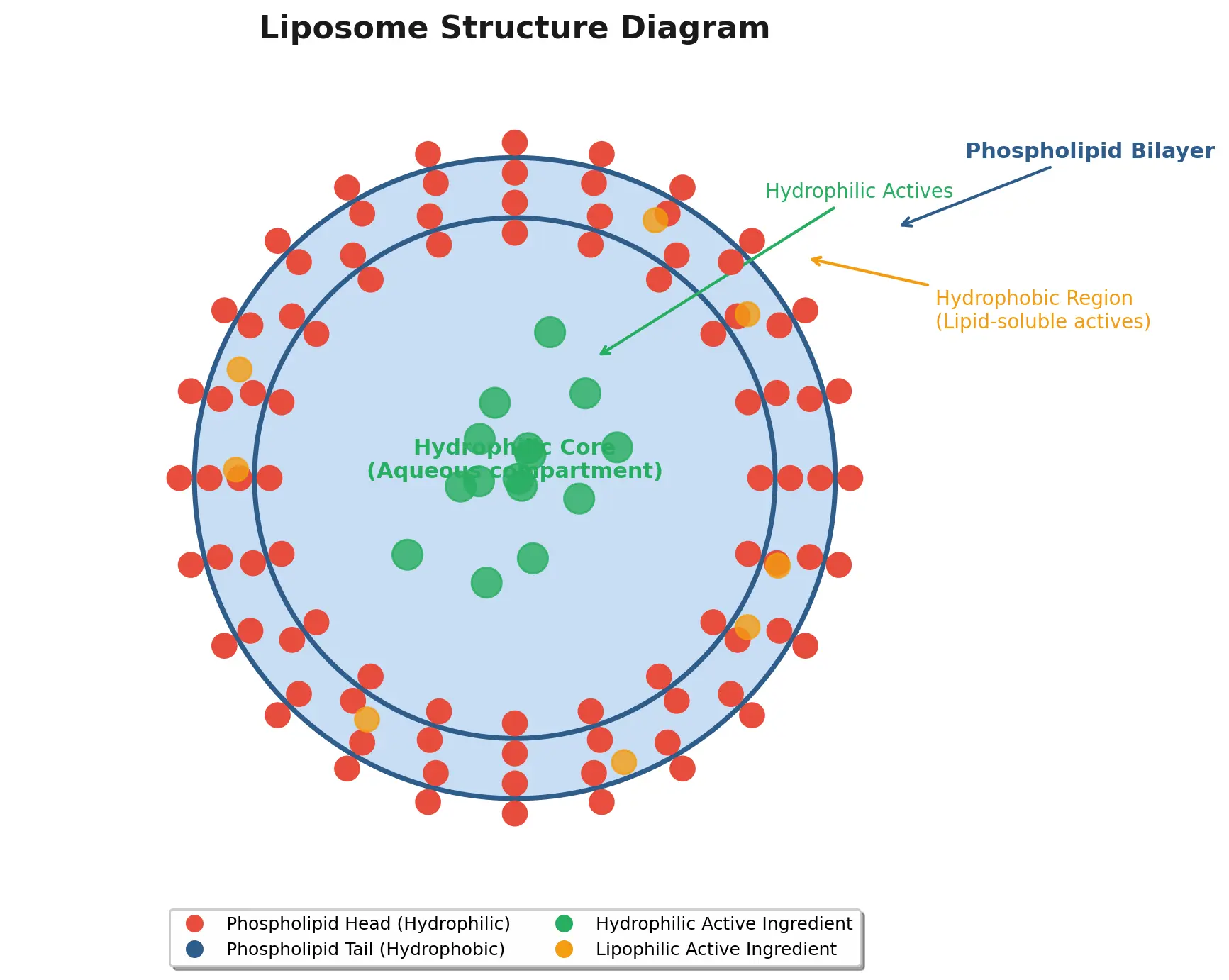 liposome_structure_diagram