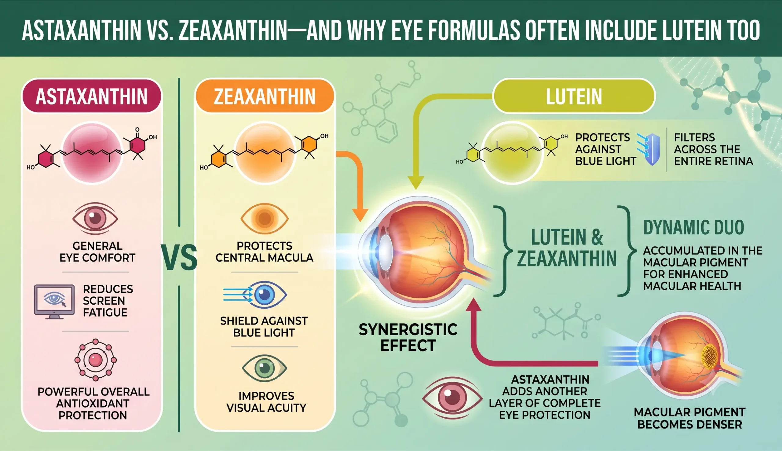 Astaxanthin vs. Zeaxanthin