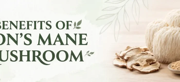 Benefits of Lion's Mane Mushroom