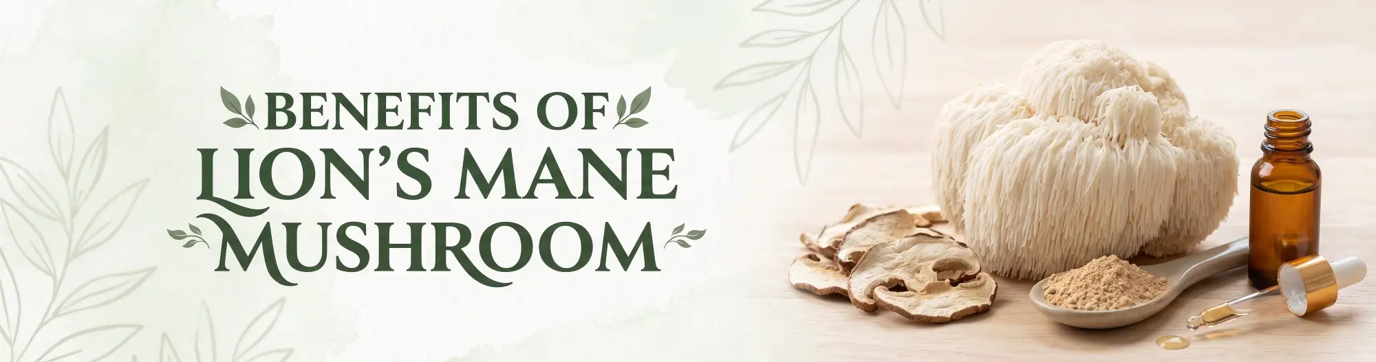 Benefits of Lion's Mane Mushroom