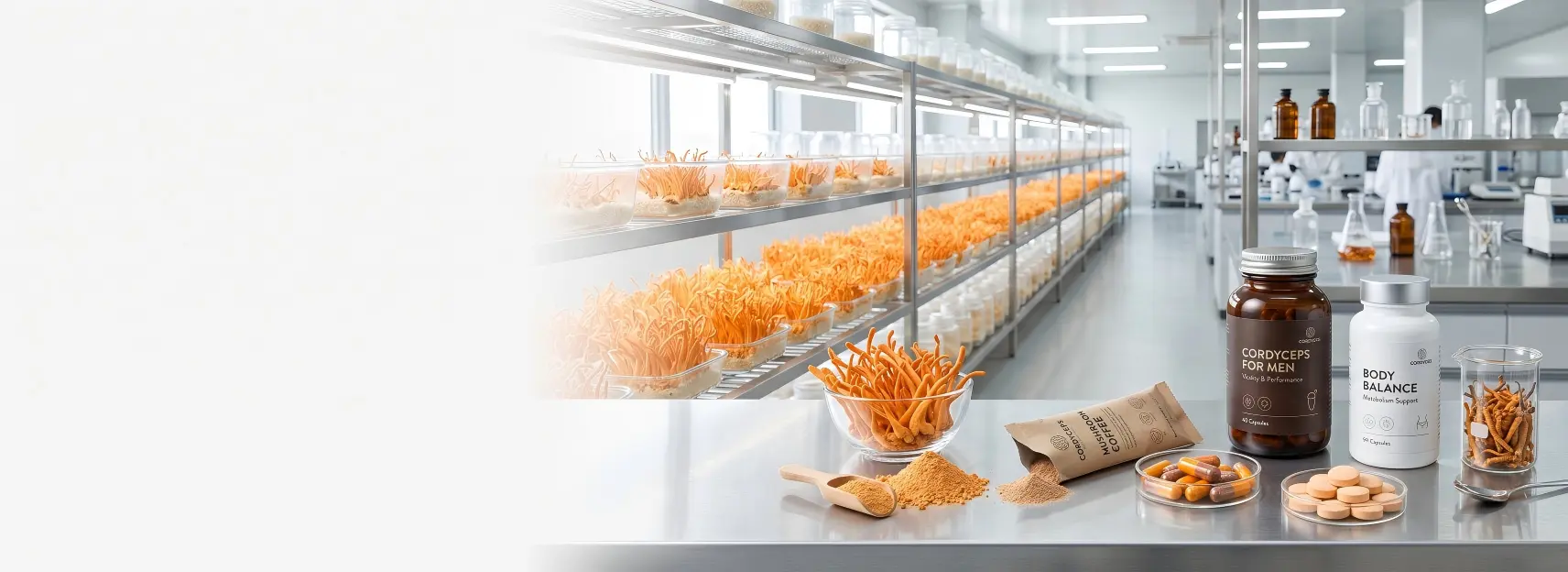 Cordyceps Supplement Manufacturer