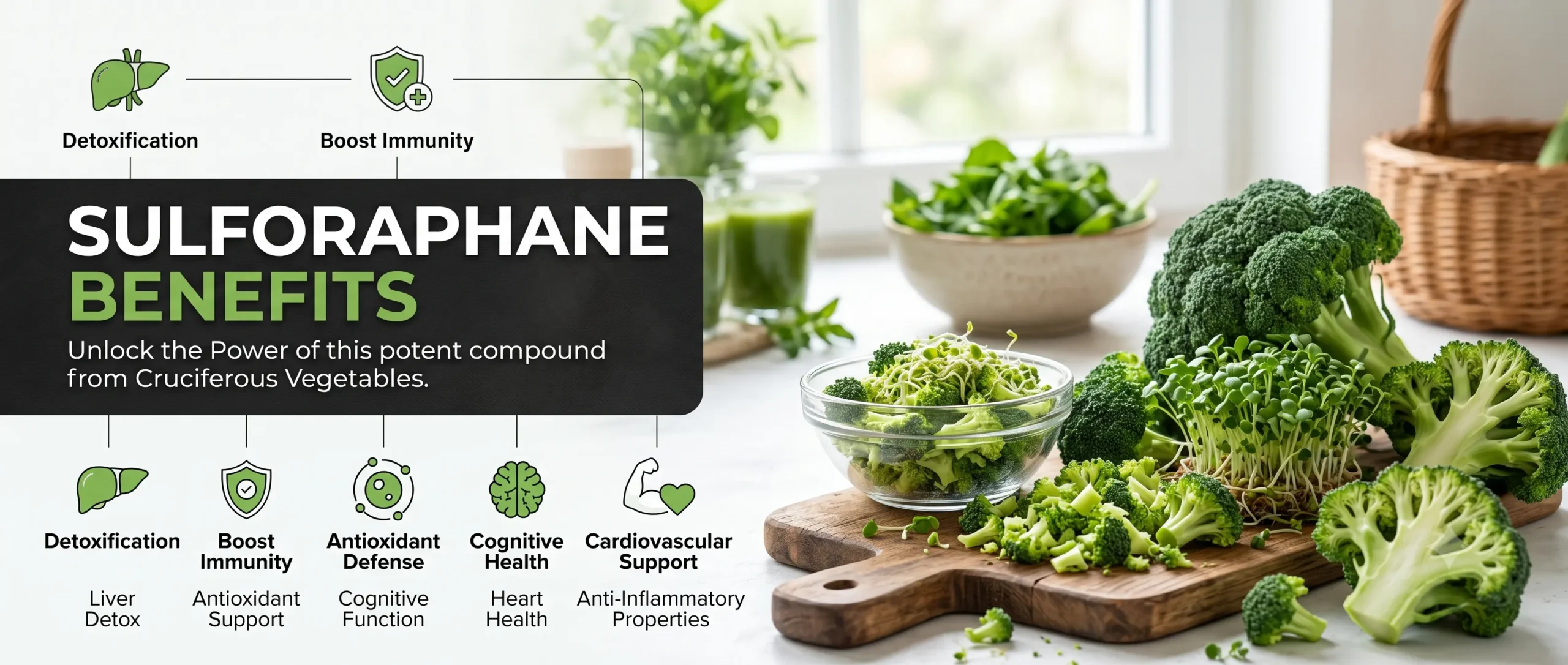 Sulforaphane Benefits