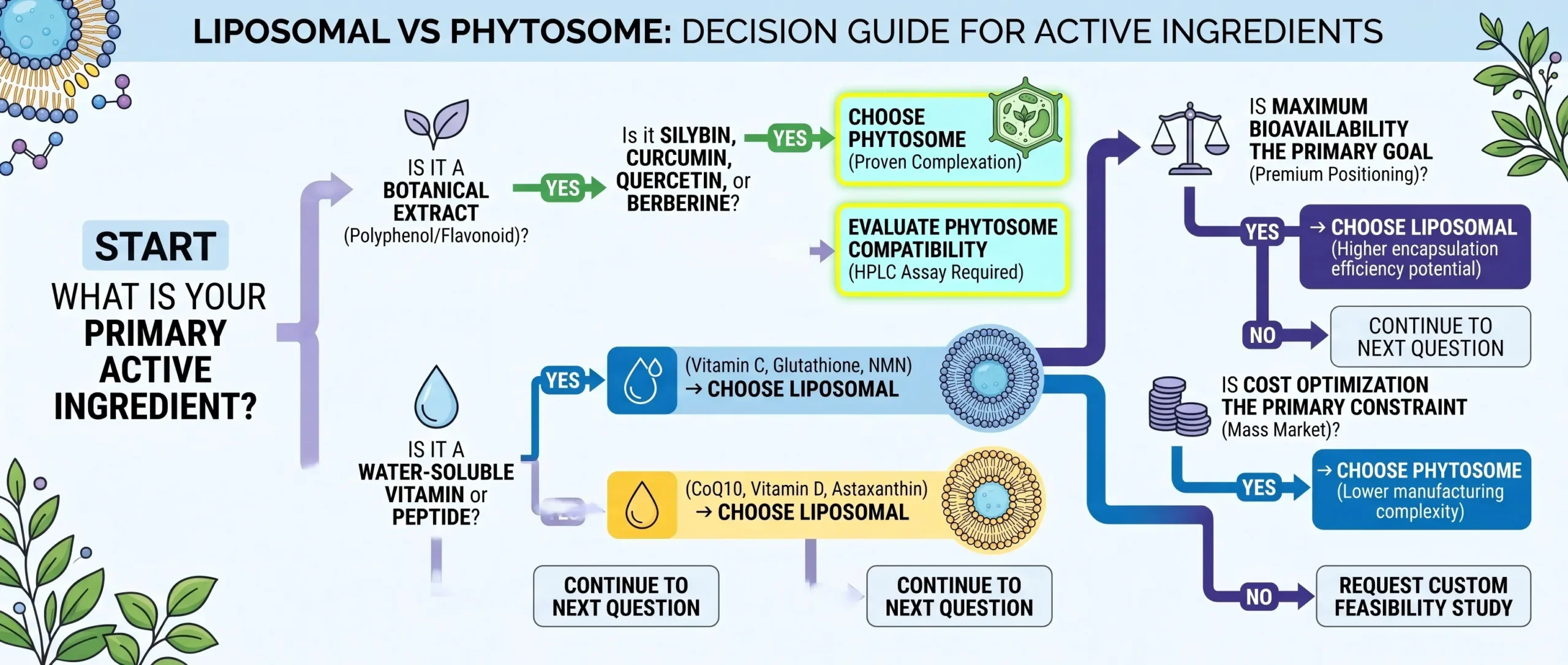liposomal vs phytosome
