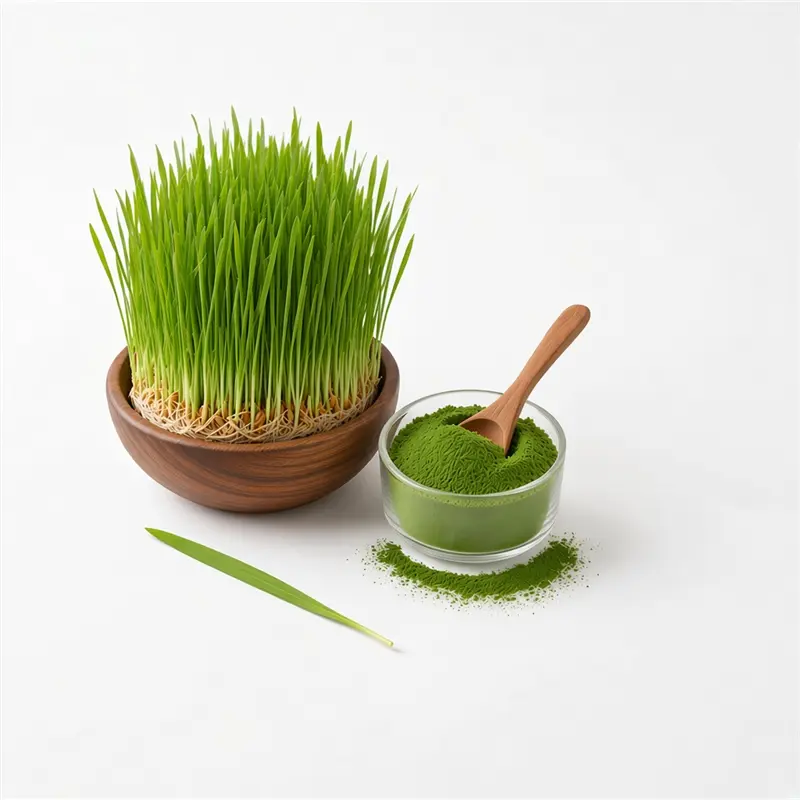 16-super-greens-matrix-supplements
