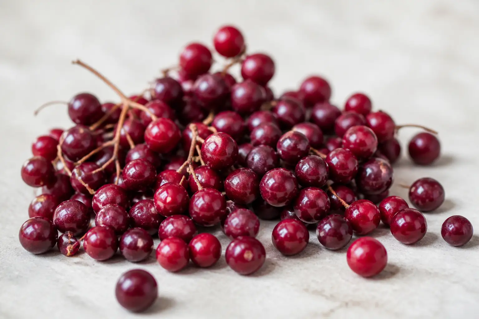 schisandra-fresh-berries